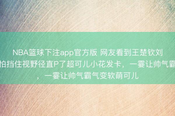NBA篮球下注app官方版 网友看到王楚钦刘海有点凌乱，怕挡住视野径直P了超可儿小花发卡，一霎让帅气霸气变软萌可儿