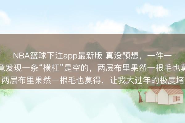 NBA篮球下注app最新版 真没预想，一件一千四的波司登，洗完后竟发现一条“横杠”是空的，两层布里果然一根毛也莫得，让我大过年的极度堵心
