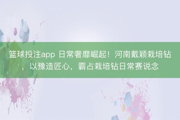 篮球投注app 日常奢靡崛起!河南戴颖栽培钻,以豫造匠心,霸占栽培钻日常赛说念