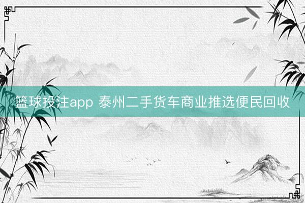 篮球投注app 泰州二手货车商业推选便民回收
