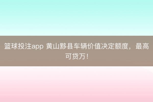 篮球投注app 黄山黟县车辆价值决定额度，最高可贷万！